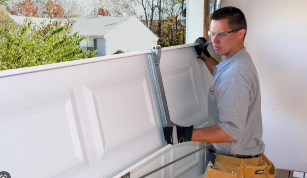 Lion Garage Door Services project